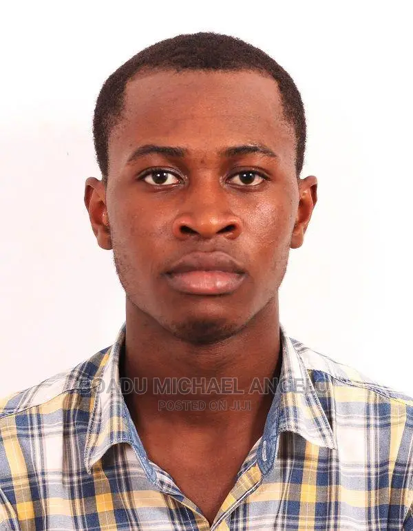 Web Developer