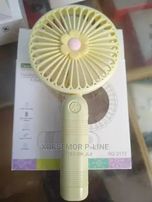Personal Wedding Fan
