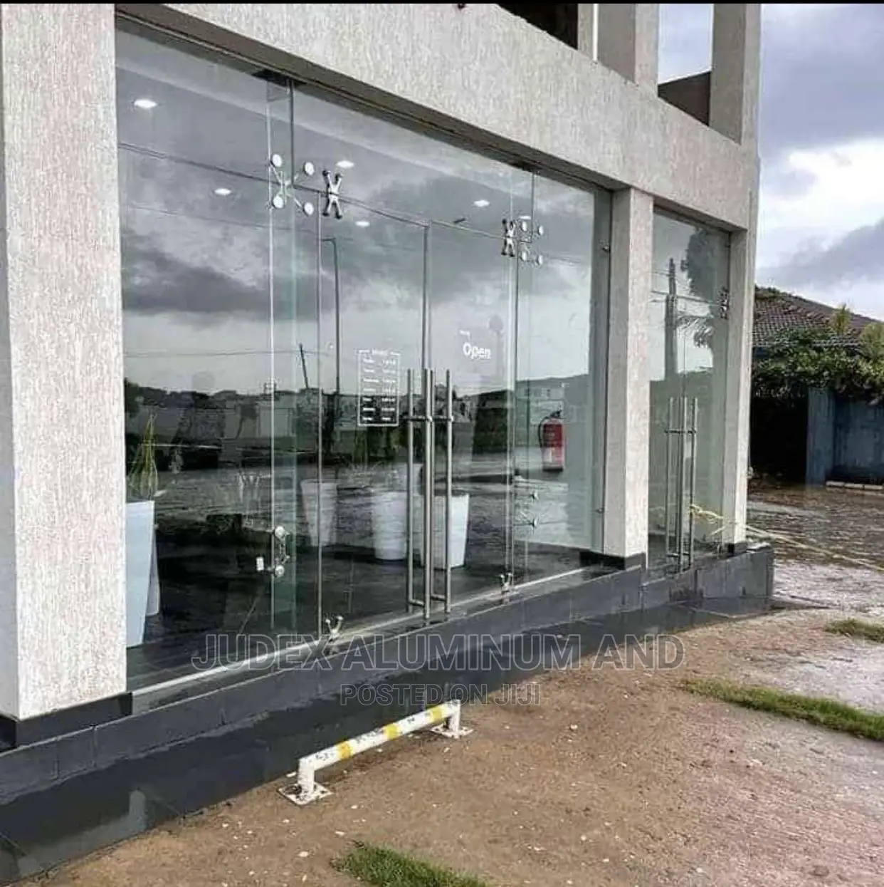 Entrance Frameless Doors