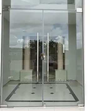 Entrance Frameless Doors