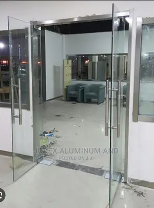 Entrance Frameless Doors