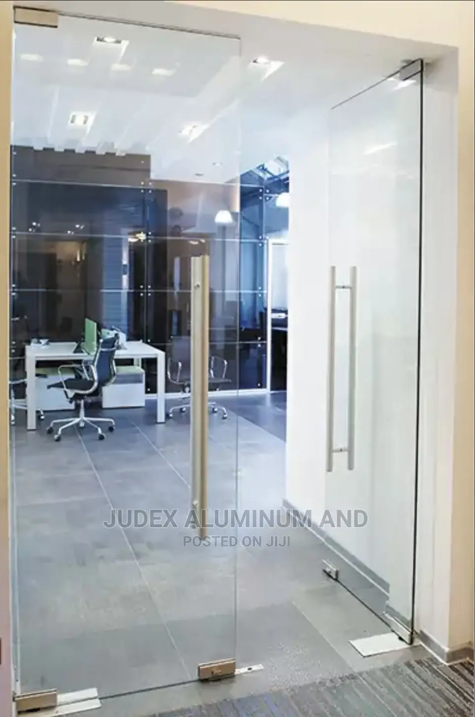 Entrance Frameless Doors