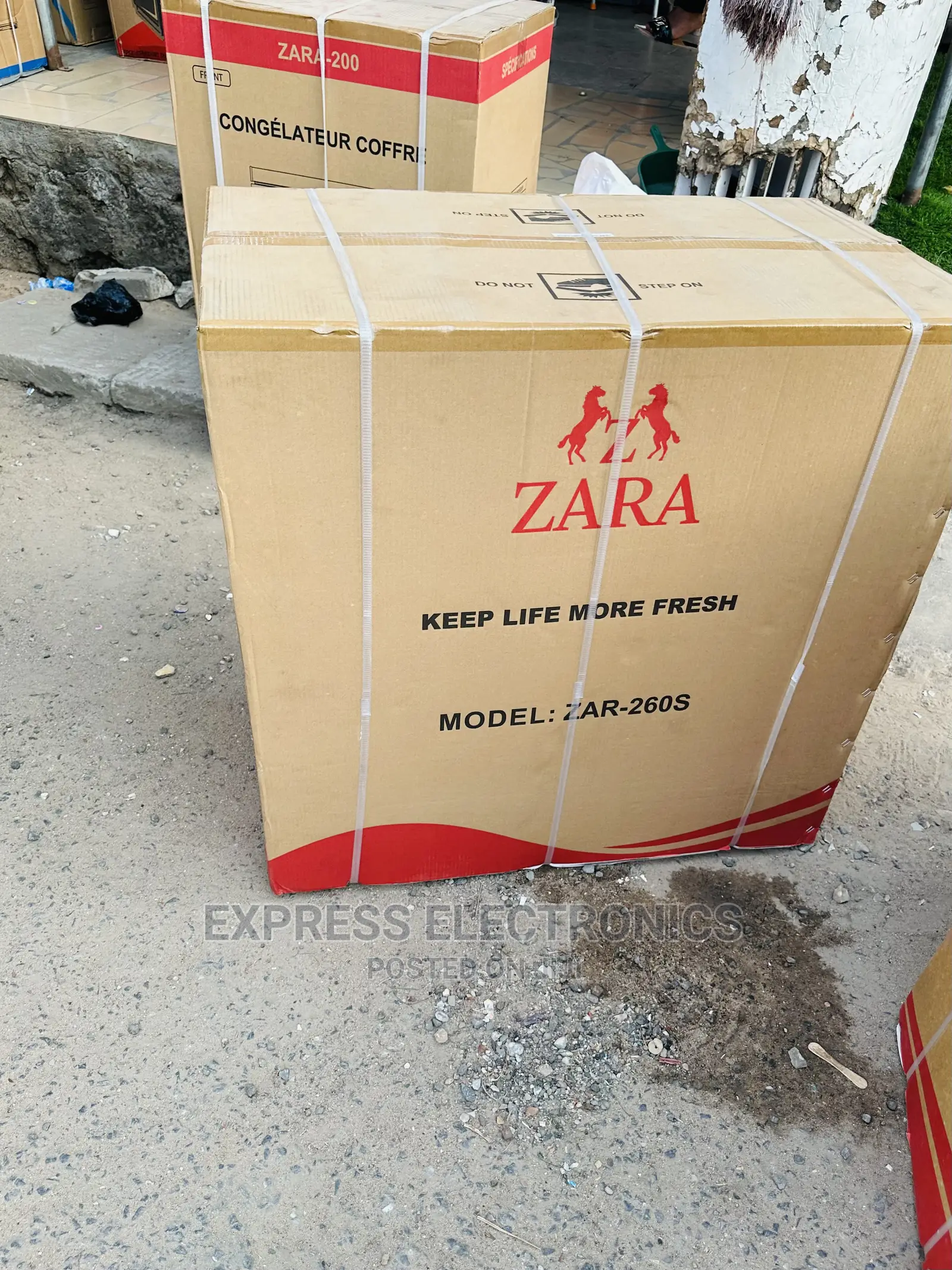 Deep Freezing  Sleek Zara Chest Freezer 200L Single Door