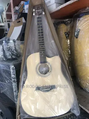 Semi Acoustic Guitar