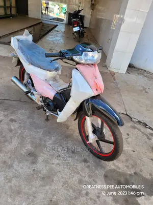 Luojia LJ110ZH-A 2018