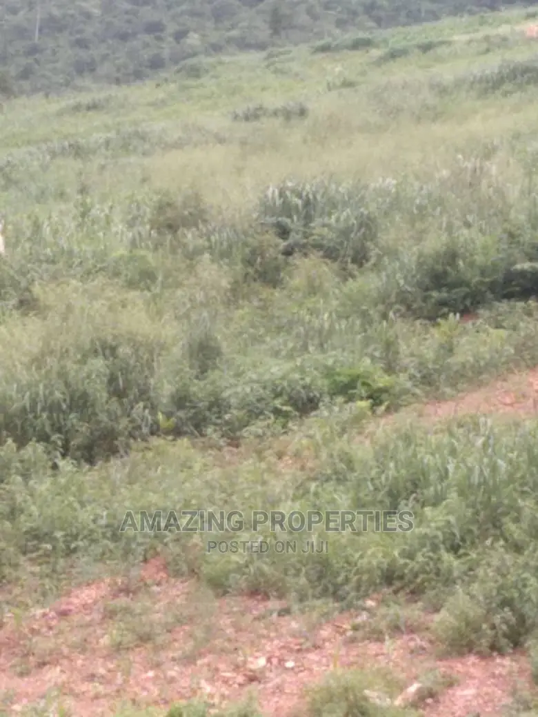 2 Plots of Land at Oyarifa