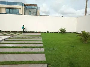 LAWN DESIGN ( Natural Grasses )