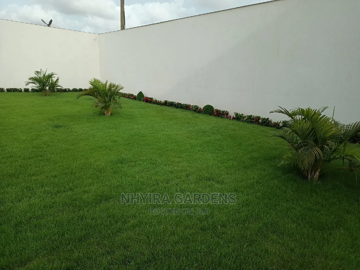 LAWN DESIGN ( Natural Grasses )