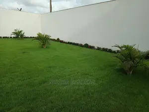 LAWN DESIGN ( Natural Grasses )
