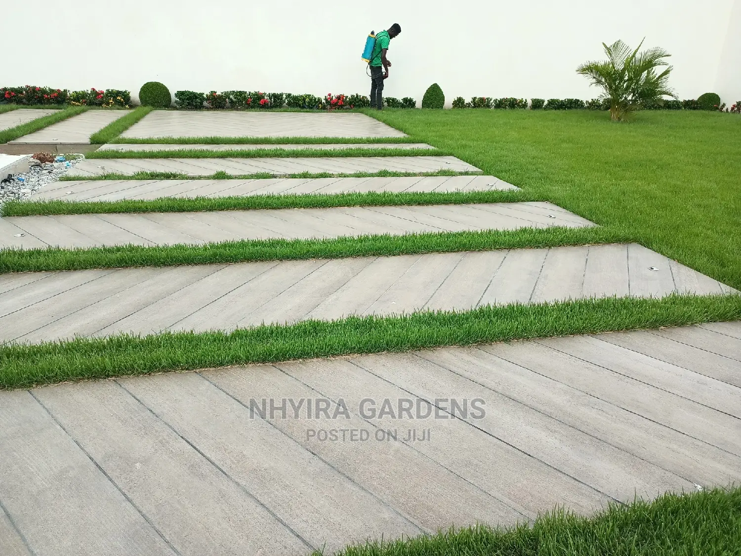 LAWN DESIGN ( Natural Grasses )