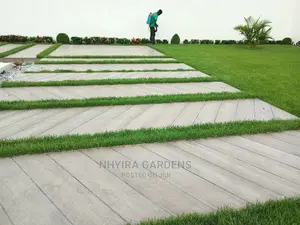 LAWN DESIGN ( Natural Grasses )