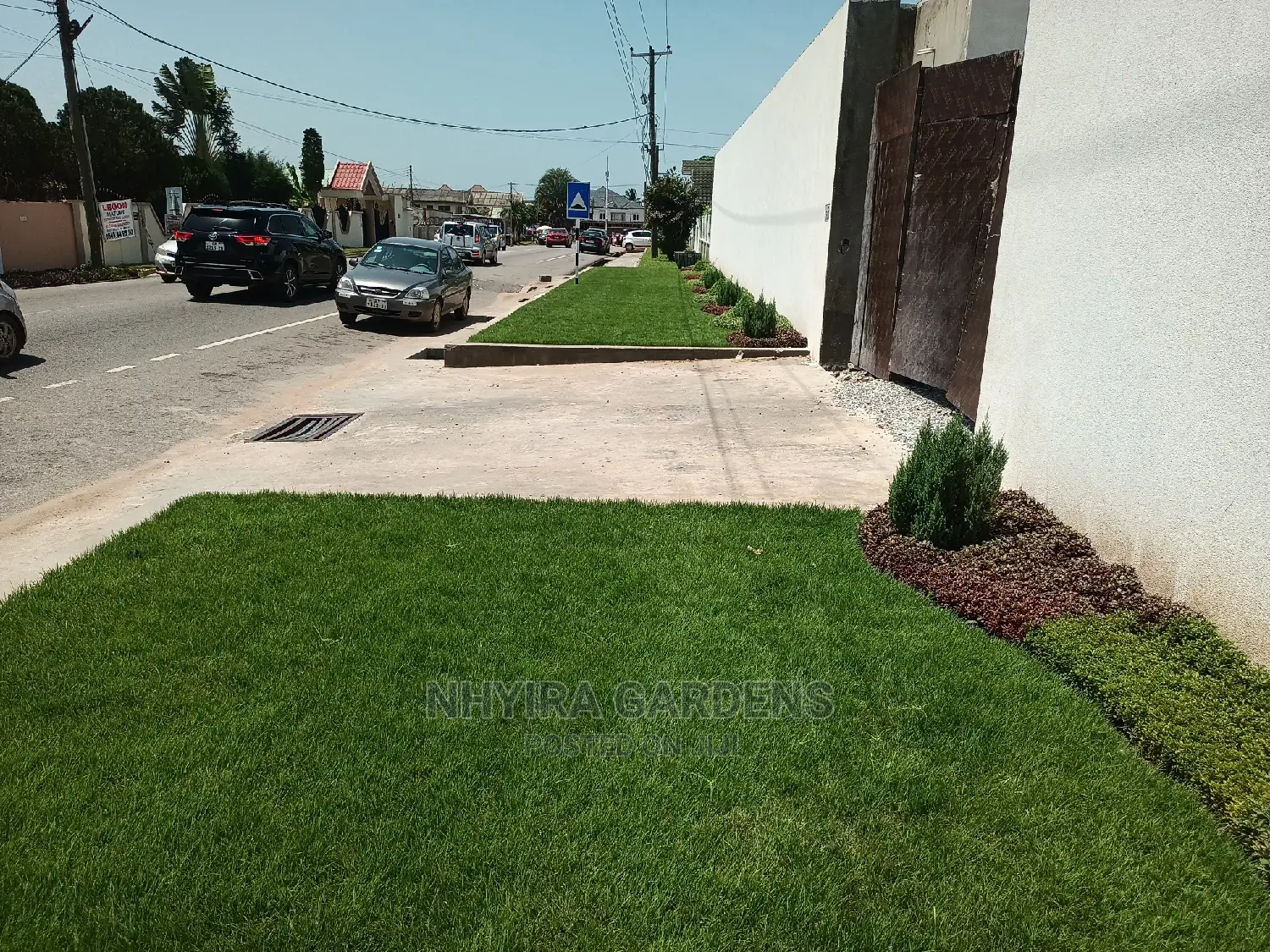 LAWN DESIGN ( Natural Grasses )