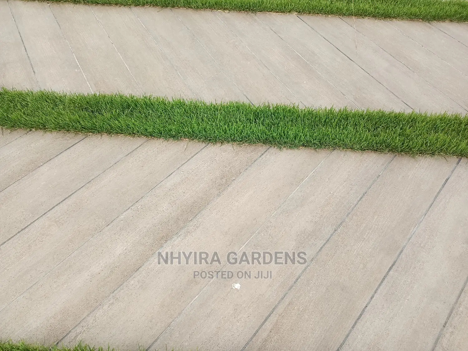 LAWN DESIGN ( Natural Grasses )