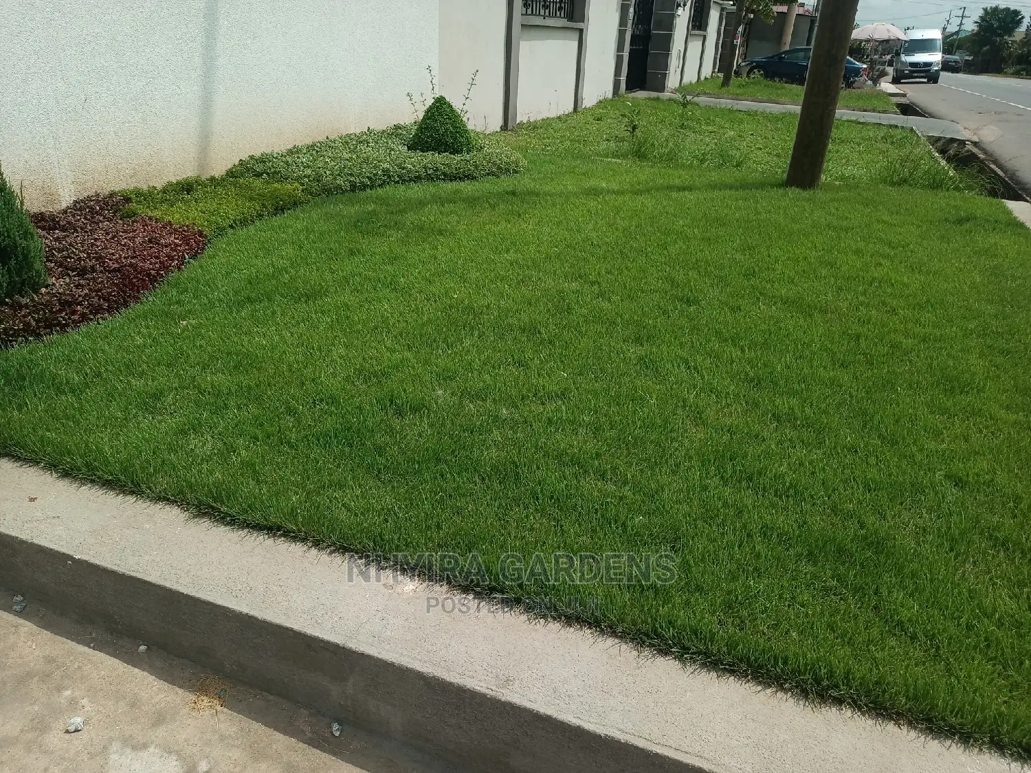 LAWN DESIGN ( Natural Grasses )