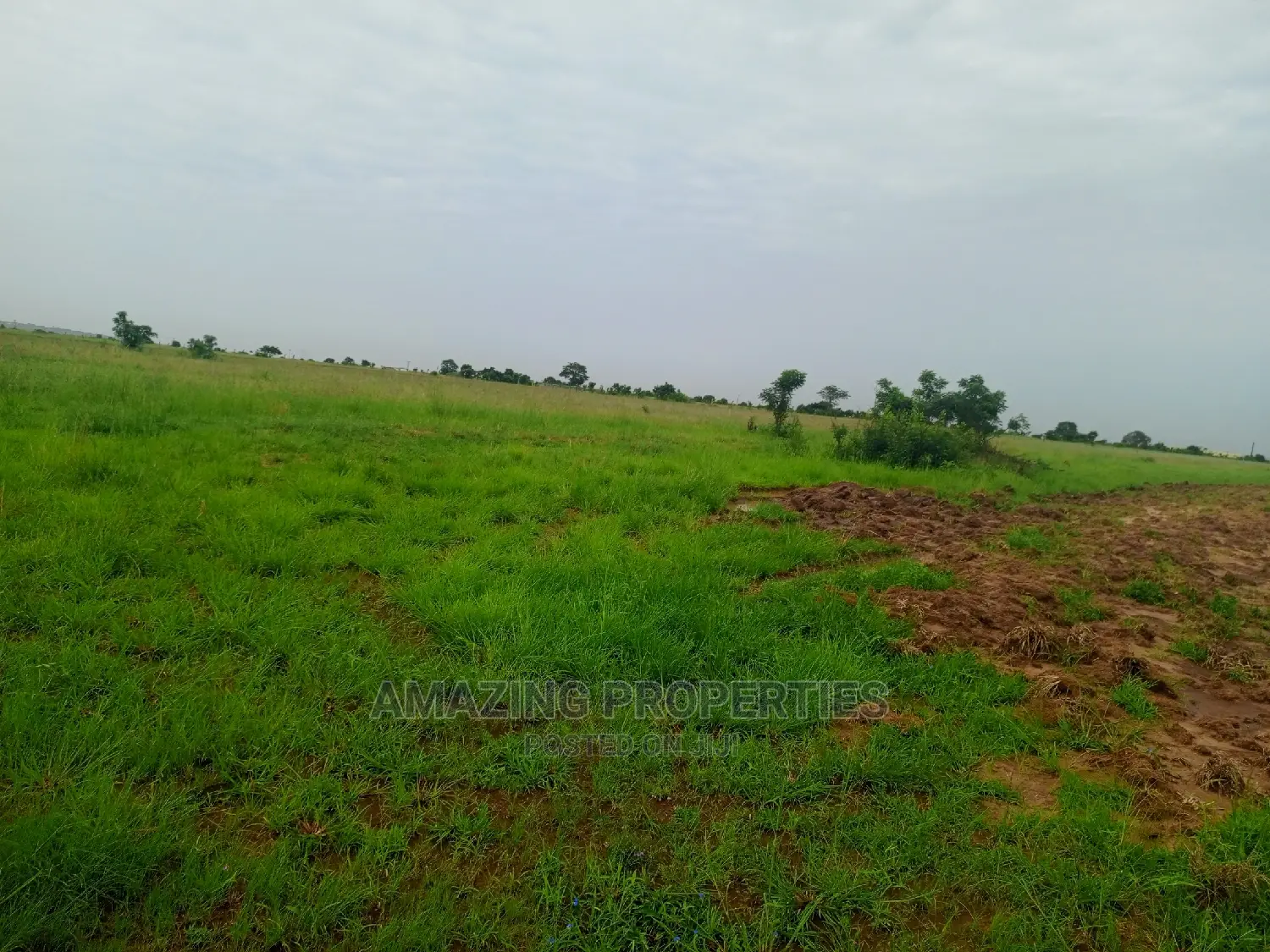 4.09 Acre Land Warehouse and Offices Tema Industrial Area