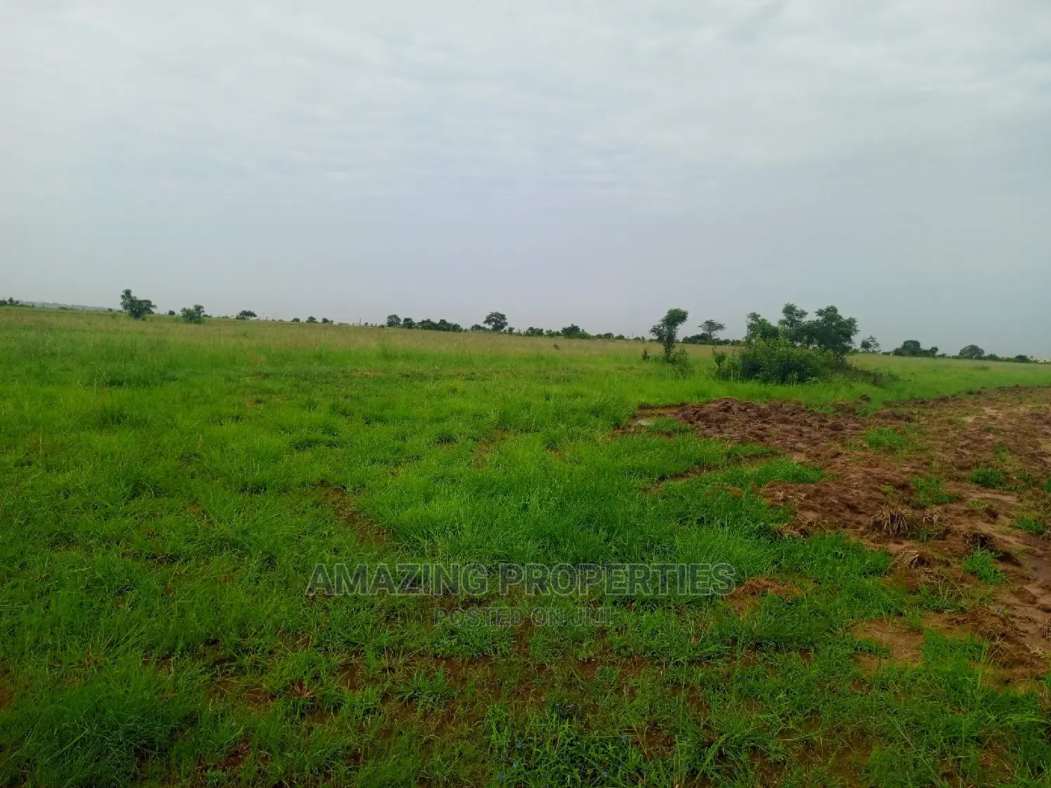 4.09 Acre Land Warehouse and Offices Tema Industrial Area