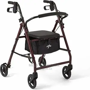 Walker With Rolator Carrier