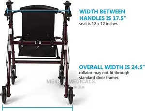 Walker With Rolator Carrier