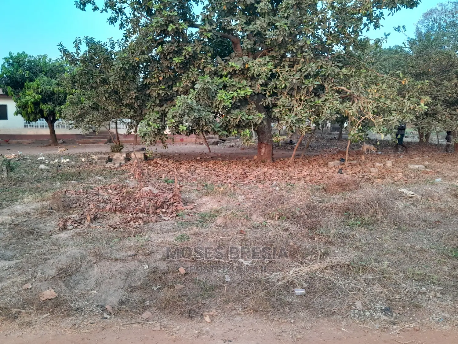 Plot of Land Close to Water and Light