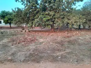 Plot of Land Close to Water and Light