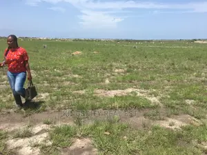 /Multipurpose Lands ,Fully Titled Plot Land at Ningo-Dwellys