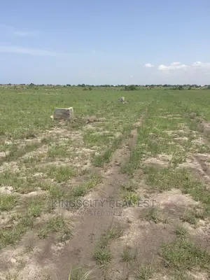 Better Plots Secured and Safety Lands at 'Dwellys' Ningo