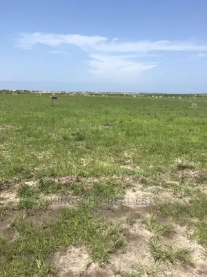 Better Plots Secured and Safety Lands at 'Dwellys' Ningo