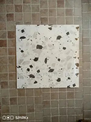 Polish Floor Tiles 60/60