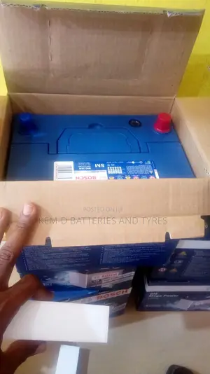 17 Plates Bosch Battery - American Type