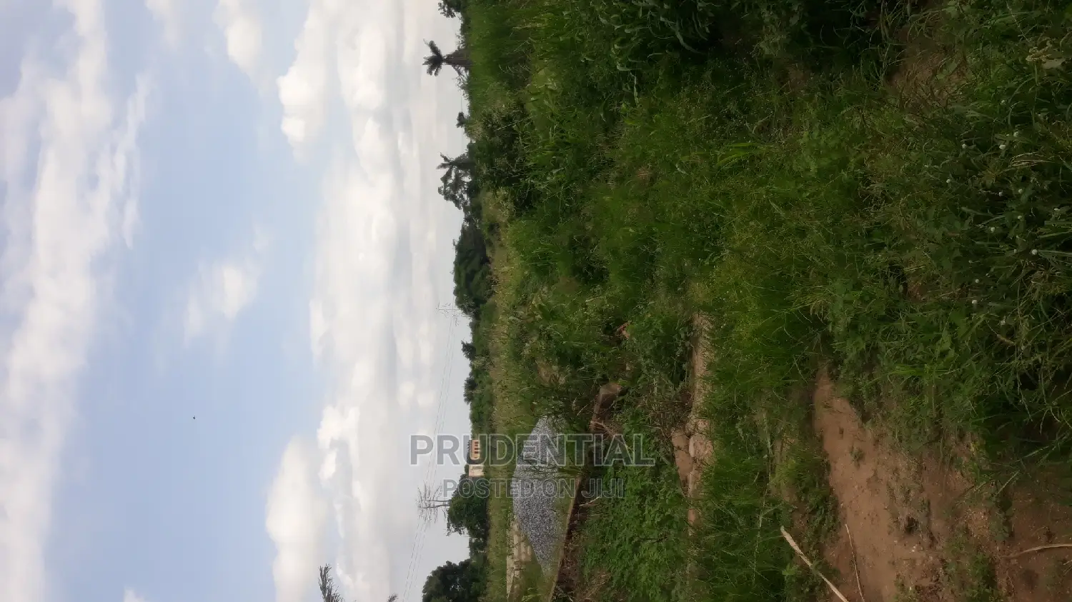 Roadside Farmland for Sale at Akuapim South — Asuboi