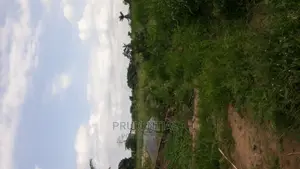 Roadside Farmland for Sale at Akuapim South — Asuboi