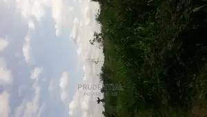 Roadside Farmland for Sale at Akuapim South — Asuboi