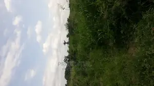 Roadside Farmland for Sale at Akuapim South — Asuboi