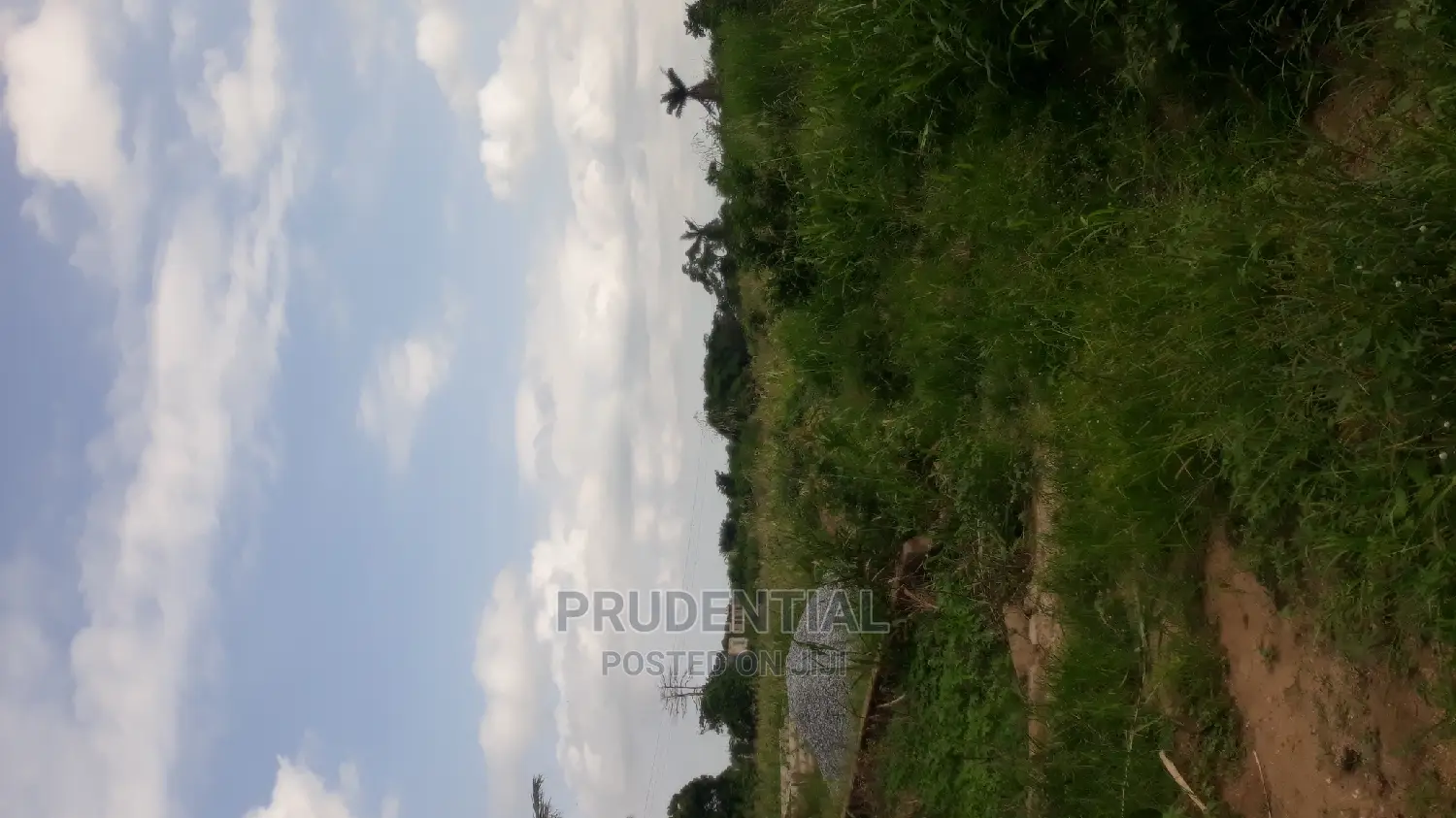 Roadside Farmland for Sale at Akuapim South — Asuboi