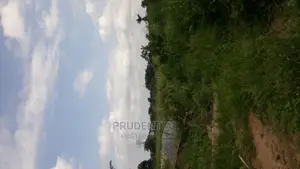 Roadside Farmland for Sale at Akuapim South — Asuboi