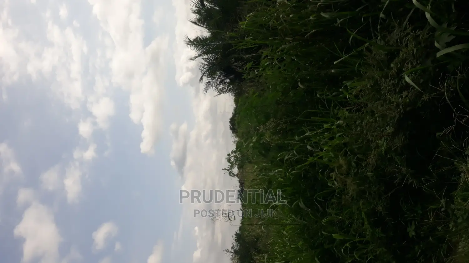 Roadside Farmland for Sale at Akuapim South — Asuboi