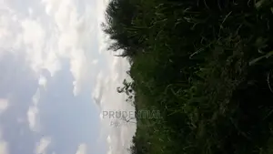 Roadside Farmland for Sale at Akuapim South — Asuboi