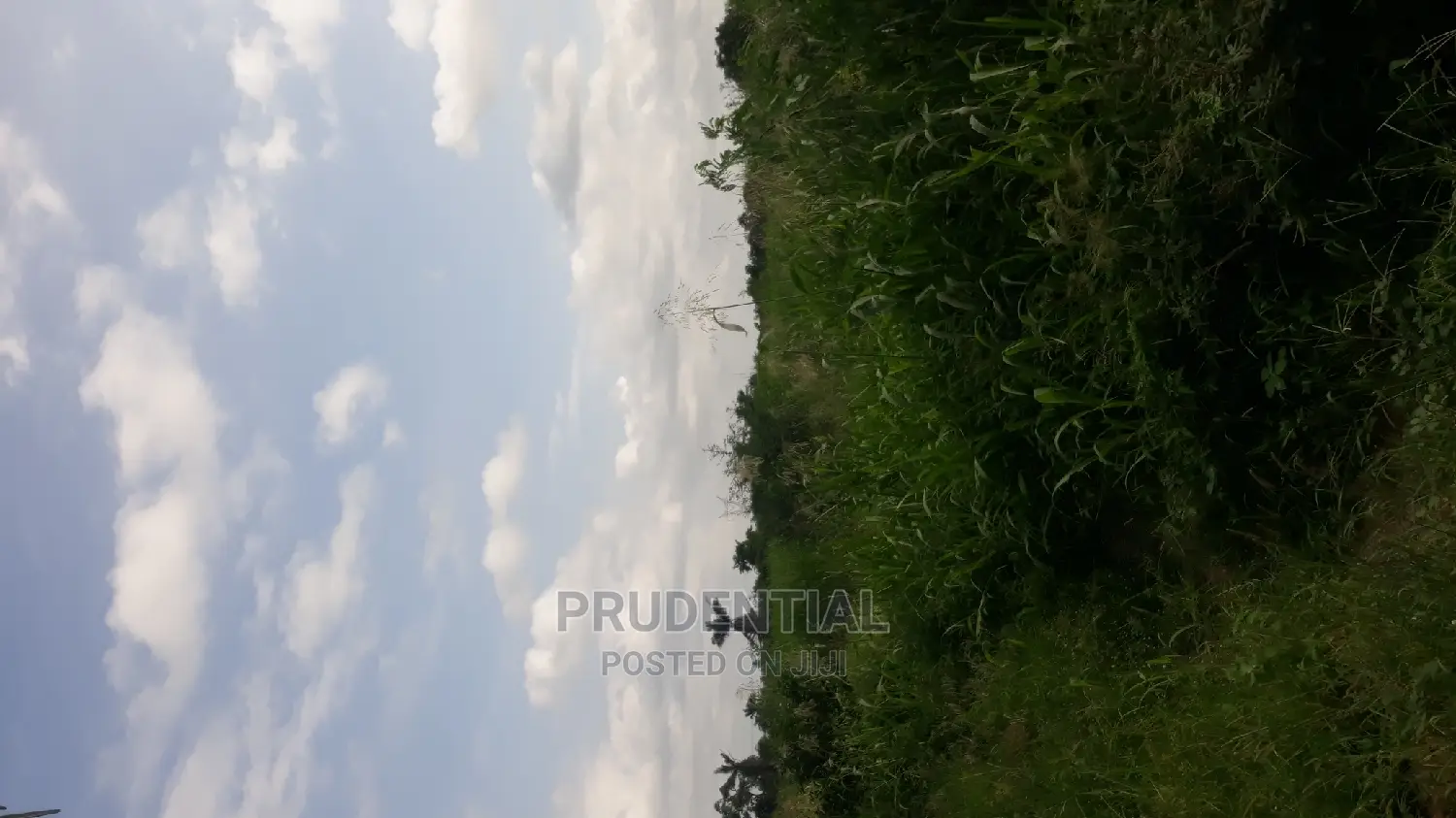 Farmland for Sale at Akuapim South