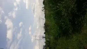 Farmland for Sale at Akuapim South