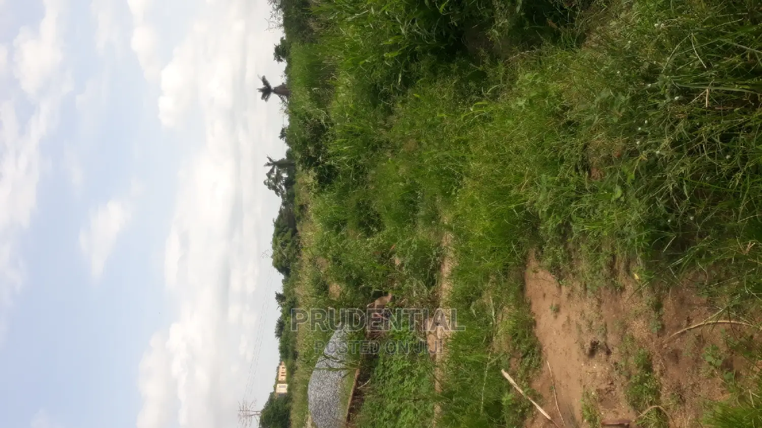 Farmland for Sale at Akuapim South