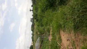 Farmland for Sale at Akuapim South