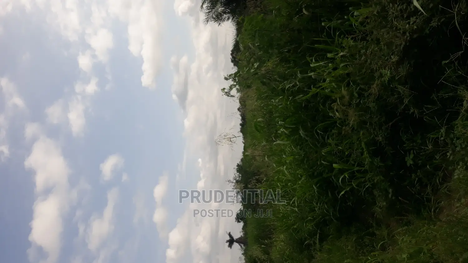 Farmland for Sale at Akuapim South