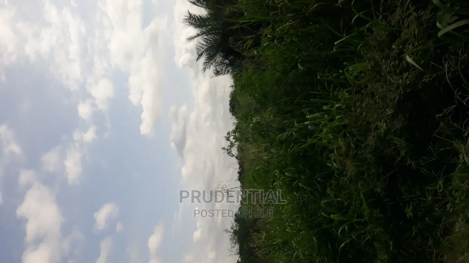 Farmland for Sale at Akuapim South