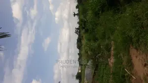Farmland for Sale at Akuapim South