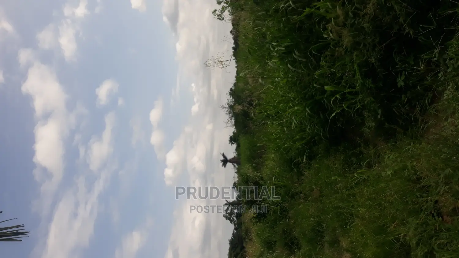 Farmland for Sale at Akuapim South