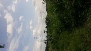Farmland for Sale at Akuapim South