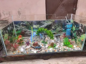 5ft+ Aquarium Tv Stand With 3 Free Fishes Feed