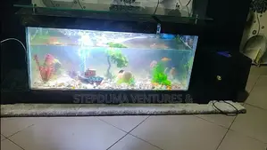 5ft+ Aquarium Tv Stand With 3 Free Fishes Feed