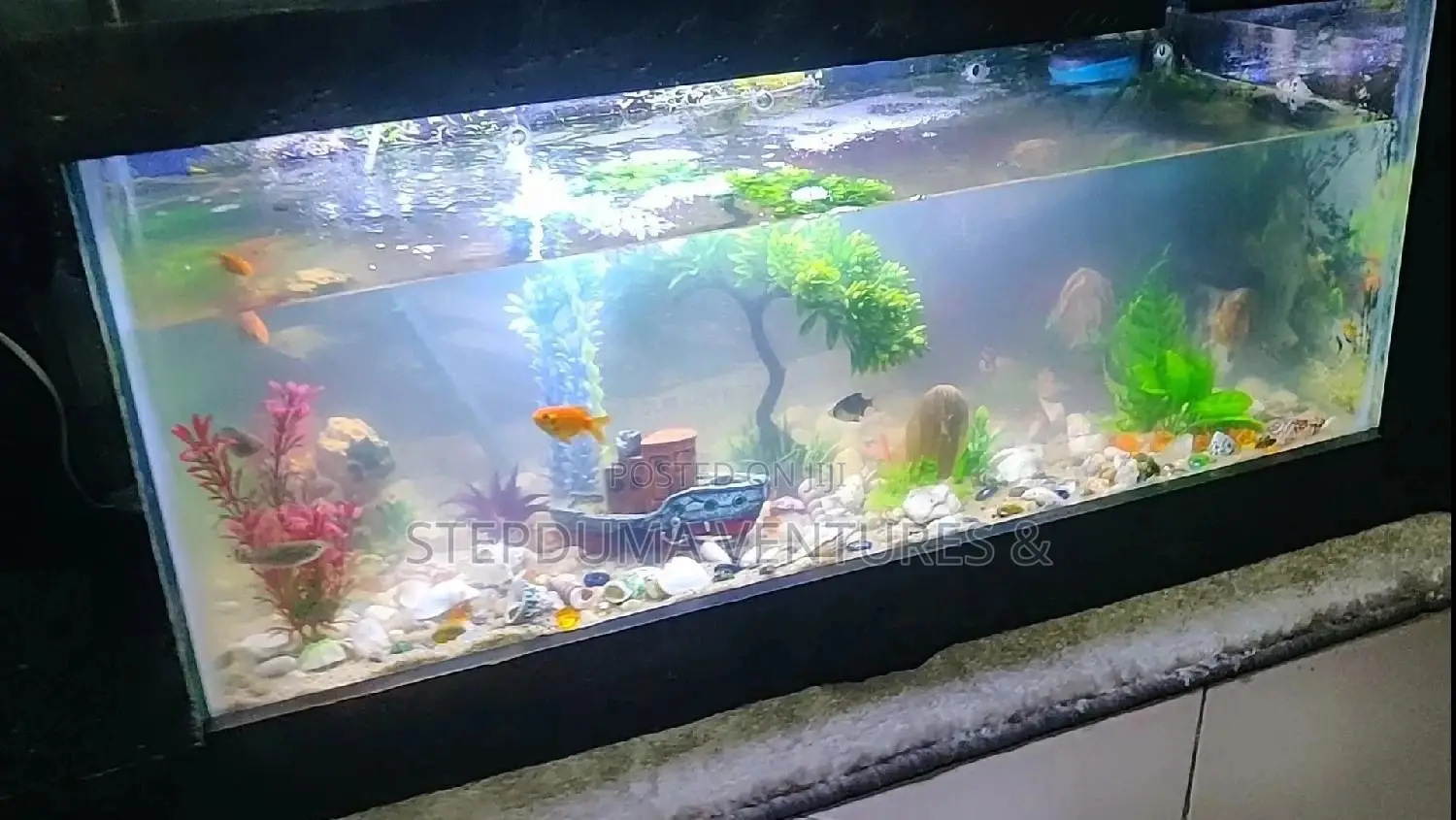 5ft+ Aquarium Tv Stand With 3 Free Fishes Feed