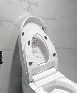 Electrical Smart Wc , Intelligent Wc Toilet, Automatic Wc